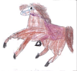 Arab is a Mountain Trail Relay Horse