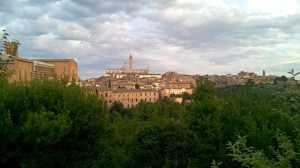 WP_20151004_18_22_02_Pro
